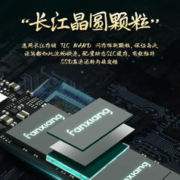 FANXIANG 梵想 国潮系列 S500 PRO NVMe M.2 固态硬盘 2TB（PCI-E3.0）