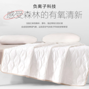 水星家纺 床垫床褥子加厚软垫四季保护垫可折叠床垫子 大豆床垫【抗菌升级】 1.8m床（180×200cm）