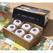有券的上：泽华果品 山东莱阳羊脂秋月梨 净重4.5斤整箱 7-9个果