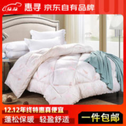 20点开始：惠寻 被芯 200*230cm 6斤