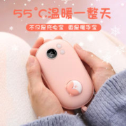 DONGIXONG 东熊 双面暖手宝充电宝二合一1万毫安