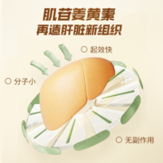 SUSUMOTOYA日本护肝片肌苷姜黄素片脂肪肝专用受损修复应酬喝酒熬夜护肝养肝净肝保肝排毒送父亲节 3瓶90粒【3个月用量】