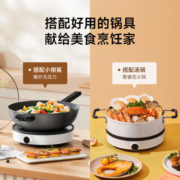 小米（MI）米家电磁炉青春版2100W大功率9档变频控温煎炒煮炸蒸烧水双重防滑圈可拆卸高温保护