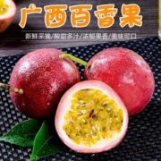 张小壮 广西百香果 新鲜百香果 精选生鲜水果 坏果理赔 精选3斤28-31个