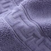 某东京造 138g加厚阿瓦提长绒棉毛巾 加大抗菌纯棉洗脸毛巾 单条 蓝色