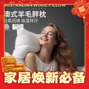 AUSGOLDENMIX 澳洲进口羊毛枕头 中枕 单只