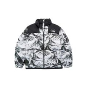 北面 韩国TheNorthFace北面nuptse男女羽绒服外套保暖NJ1DN51J/57A