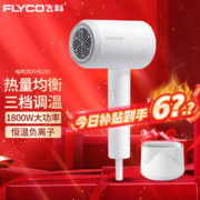 FLYCO 飞科 电吹风 家用大功率速干吹风筒 旅行便携式吹风机冷热风 理发店发廊 宿舍通用 恒温护发