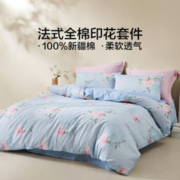 LOVO 乐蜗家纺 杜乐丽春绽 全棉四件套 1.8米床(适配220x240被芯)