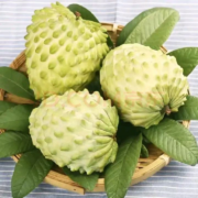 京东百亿补贴：三萌果蔬 凤梨牛奶释迦果 3斤 中果【单果150-250g】