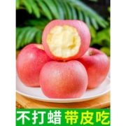 文枝山西红富士冰糖心苹果75mm(含)-80mm(不含) 【中大果 9斤