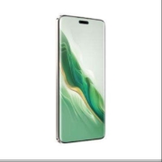 荣耀Magic6 Pro 12+256GB 麦浪绿