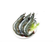 虾有虾途 青岛超大虾 17-20厘米 4斤