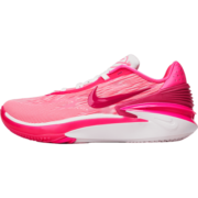 耐克（NIKE）【滔搏运动】nike耐克男子日常户外运动篮球场经典篮球鞋 DJ6013-604 44