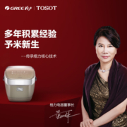 大松（TOSOT）格力电饭煲电饭锅2L 迷你电饭煲小2人  IH电磁加热 糙米发芽 WIFI操控 金康煲 GDCF-20X60C
