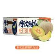 鲜程祥合 爆甜 海南冰淇淋网纹甜瓜 蜜甜瓜 9斤（3-5个装）