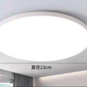 左妮 led吸顶灯 23cm超薄款【雅白】20W白光