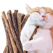 灵宠物语猫玩具木天蓼磨牙棒8根装猫狗磨牙棒洁齿棒自嗨棒猫零食木天棍猫薄荷猫草猫玩具