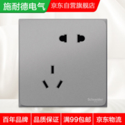 施耐德电气错位斜五孔插座十支装套装 86型墙壁插座 皓呈系列 薄雾灰色