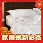 年货不打烊：YANXUAN 网易严选 二合一子母被 200*230cm 白色