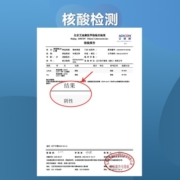 CP正大食品(CP) 老母鸡 1.4kg  谷物杂粮饲养500天 冷冻