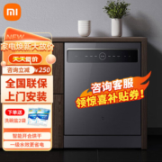 小米（MI）洗碗机15套大容量嵌入式智能洗碗机自动开合烘干独立式两用智能控制双驱变频一级水效 米家智能洗碗机15套 S1