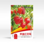 PLUS会员：花沃里奶油红草莓种子1000粒 四季草莓苗阳台盆栽室内庭院田间