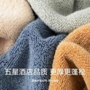 88VIP会员：SANLI 三利 毛巾纯棉家用2条装洗脸吸水不掉毛成人男女加厚酒店面巾