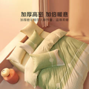 88VIP会员：BLISS 百丽丝 水星出品百丽丝家纺加厚磨毛三/四件套床单被套学生宿舍套件床品