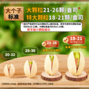 每果时光 开心果500g轻盐焗坚果炒货年货休闲零食