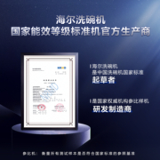 海尔（Haier）洗碗机独立式10套80℃高温冲洗纤薄机身家用全自动独立式嵌入式洗碗机 EW10028BK
