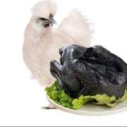 京东百亿补贴：大用 白凤乌鸡1kg 十全乌骨鸡