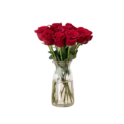 花点时间（Reflower）红玫瑰鲜花云南昆明基地直发鲜切花插花鲜花送女友告白礼物10枝
