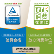 EWIWE 迷你铸铁煎蛋锅小油锅热油泼油烧油mini小锅蛋饺神器不粘锅 10cm/实木手柄/mini煎锅