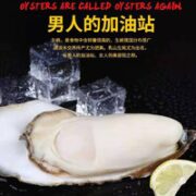 牧海翁 乳山生蚝（ 带官方溯源防伪标识、死蚝包赔）XXXL 5斤装 约18只