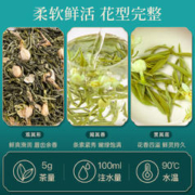 醉然香 茉莉花茶2023新茶浓香型飘雪茉莉散装绿茶叶125g