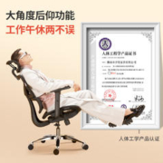 Gedeli 歌德利 T12人体工学椅乳胶电脑椅子靠背久坐舒适家用老板办公椅