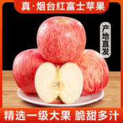 GREAT-SUN FOODS 宏辉果蔬 正宗烟台红富士苹果栖霞萍果5斤75-80mm