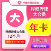 bilibili 哔哩哔哩大会员1年12个月