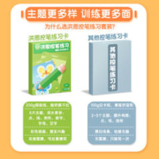 ihuman 洪恩 控笔训练幼儿园儿童可擦笔控练习专注力入门思维益智玩具
