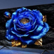 预售：TCL电视 65T8H 65英寸 百级分区 QLED量子点 超薄 2.1声道音响 120Hz 客厅液晶智能平板游戏电视机