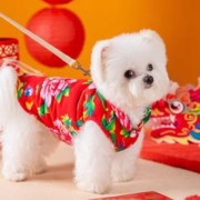 hipidog 嬉皮狗 包邮带牵引狗狗衣服秋冬款过年宠物泰迪比熊雪纳瑞冬装猫咪花棉袄