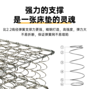 强力家具棕垫弹簧3cm椰棕垫 软硬两面弹簧舒适垫床垫进口面料静语经典 120*200*22cm