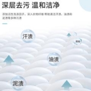 Lam Pure 蓝漂 包邮竹叶情香氛洗衣液300g*2袋洁净去渍去污护衣护色洗涤剂补充液