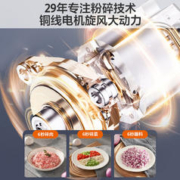 Joyoung 九阳 绞肉机家用 绞馅机 碎肉机