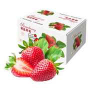 宜品道 新年特价1000箱 99红颜草莓 5斤单果20-30克