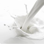 MENGNIU 蒙牛 纯牛奶 装礼盒装 250mL*16盒*2提装