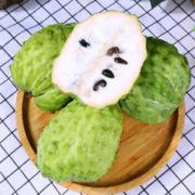 新鲜牛奶释迦果（7-10个左右）净重4.5-5斤