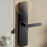 年货不打烊：Xiaomi 小米 指纹锁智能门锁密码锁家用智能锁防盗电子E10
