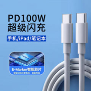 帕洛达 PD100W 双头TYPE-C数据线 1m